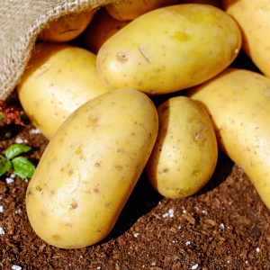 Patate Novelle Siciliane al Forno con Rosmarino
